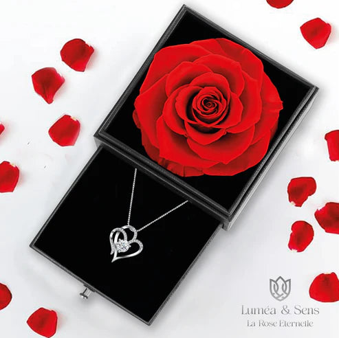 Coffret avec Rose Ăternelle & Collier