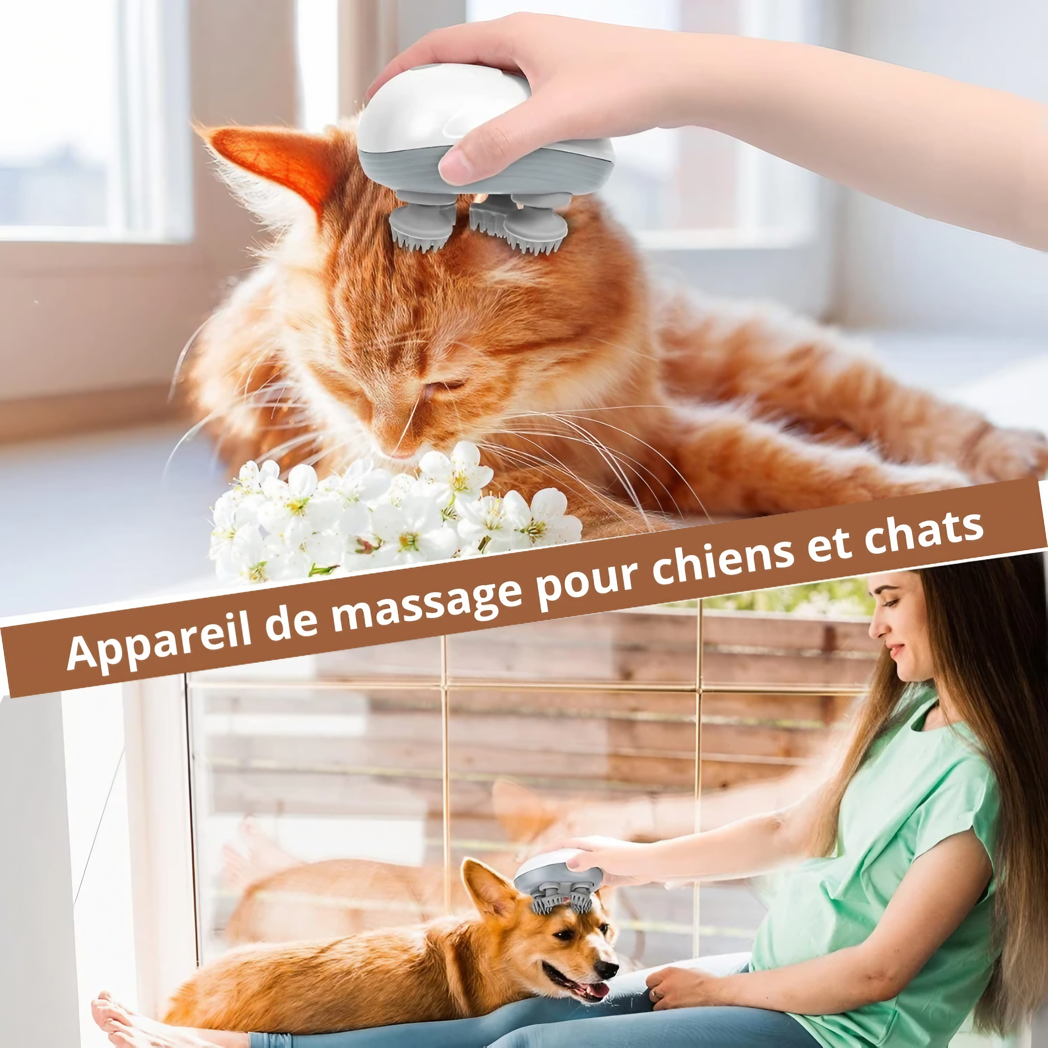Masseur électrique pour cuir chevelu Lunixe™
